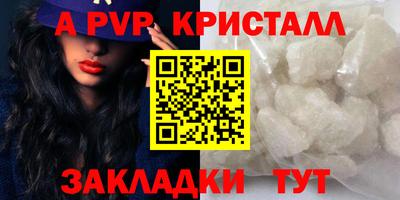 стафф Новокубанск