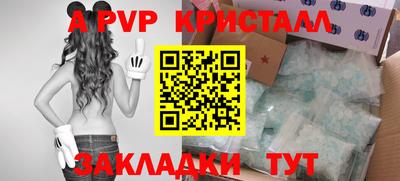 стафф Новокубанск