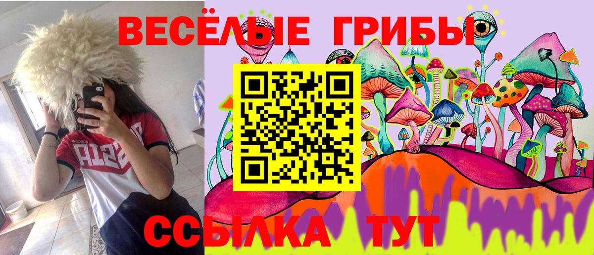 Серпухов  Галлюциногенные грибы прущие грибы  Вход с VPN 