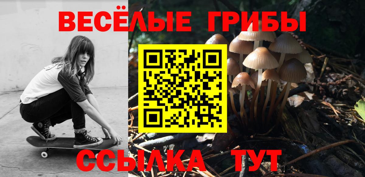 Псилоцибиновые грибы ЛСД Серпухов
